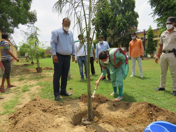 ./writereaddata/CImages/2DC Hisar planting Royal Palm in front of  Administrative building.JPG